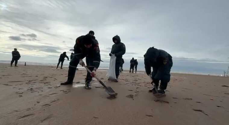 Жители Краснодарского края сами начали очищать пляжи от мазута после крушения танкеров